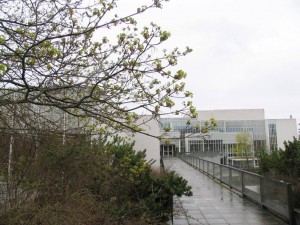 Иматра. Культурный центр