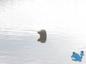 Котка. Парки.