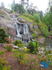 Водопад и азалии