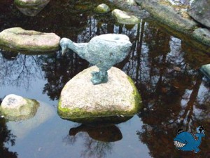 Котка. Парки.