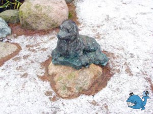 Котка. Парки.