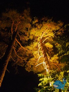 Котка. Парки.