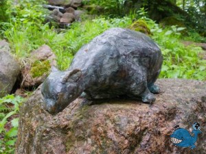 Котка. Парки.