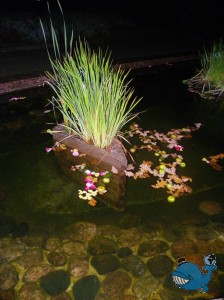 Ночная подсветка в парке Сапокка