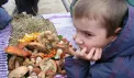 Летние приключения  в Михайловском