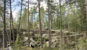 Долина реки Кюми