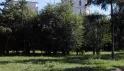 Там, где искрятся алмазами звёзды...