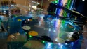 Специальные цены на номера отеля Holiday Club Saimaa