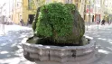 Прованс – Лазурный берег