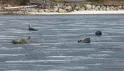 Соловки на майские праздники