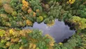 Экологическая пешеходная экскурсия на Петровский пруд в Лахте