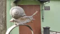 Университетские дворы: архитектура и скульптура
