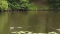 Приютино