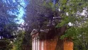 Приютино