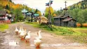 Золото древней Пармы плюс