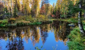 Линдуловская роща