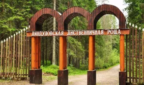 Экологическая экскурсия по экотропе в заказнике &quot;Линдуловская роща&quot;