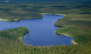 Экологическая экскурсия в заказник “Щучье озеро” 