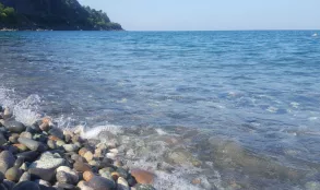 Батумский экспресс