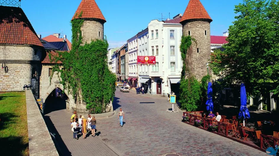 Таллинн - Сааремаа