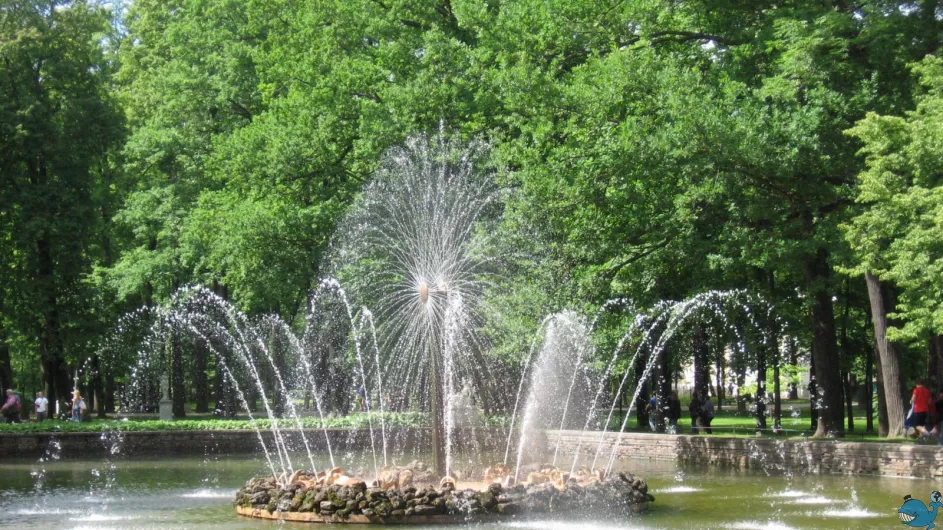 Очарование Петербурга