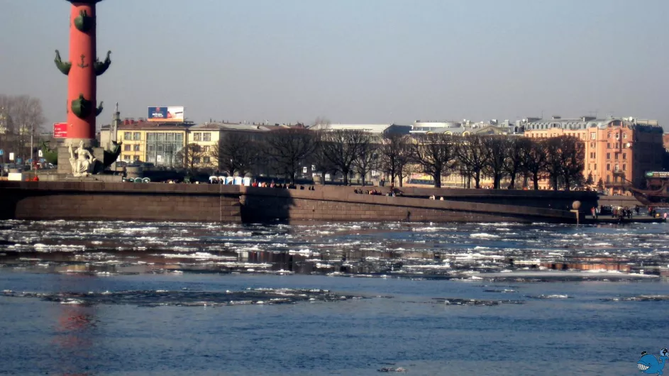 Очарование Петербурга