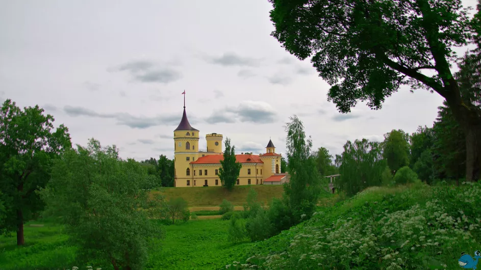 Bip Castle. Pavlovsk. Замок 'Бип'. Павловск.