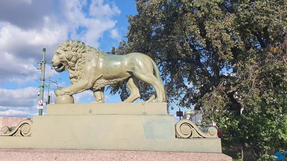 Три дня с Петербургом (лето)
