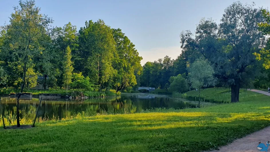 Экскурсия в Александровский дворец (Царское Село)