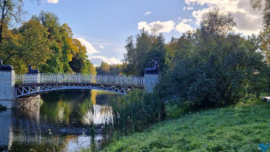  Экскурсия в Павловск