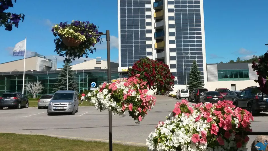 Лечебный пакет в отеле Тойла СПА