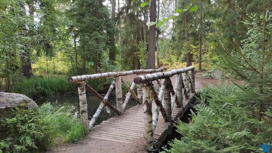 Выборг: погружение в Средневековье (лето)