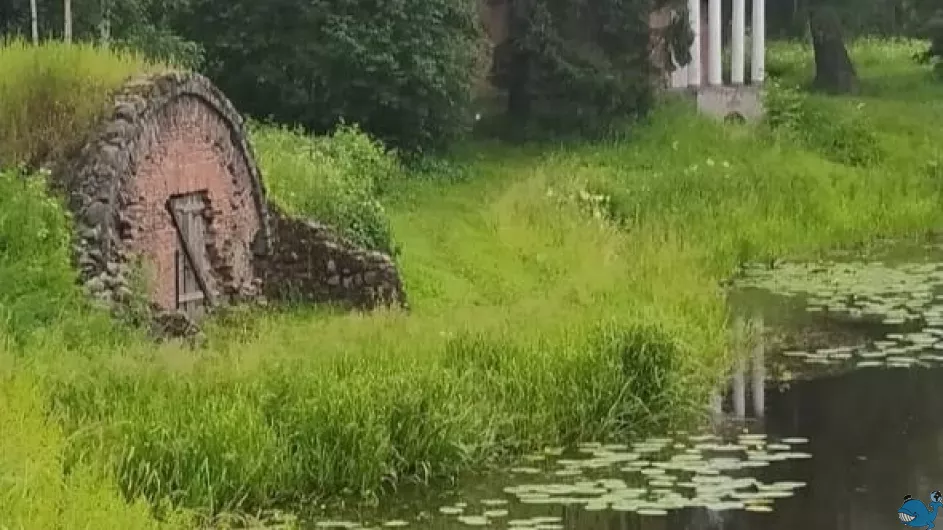 Приютино