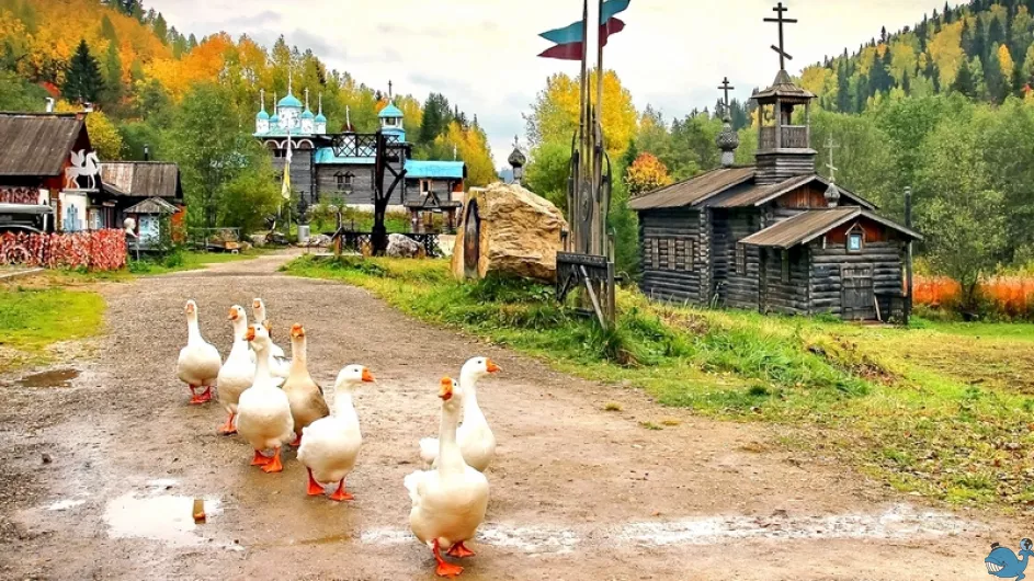 Золото древней Пармы плюс