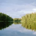 Коттедж № 944