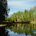 Коттедж № 1310