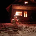 Коттедж № 836
