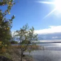 Коттедж № 827