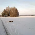 Коттедж № 1034