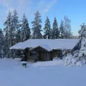 Коттедж № 966