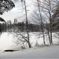 Коттедж № 1042