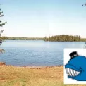 Коттедж № 1221