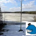 Коттедж № 1224