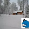 Коттедж № 1249
