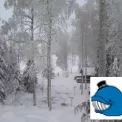Коттедж № 1249