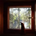 Коттедж № 1570