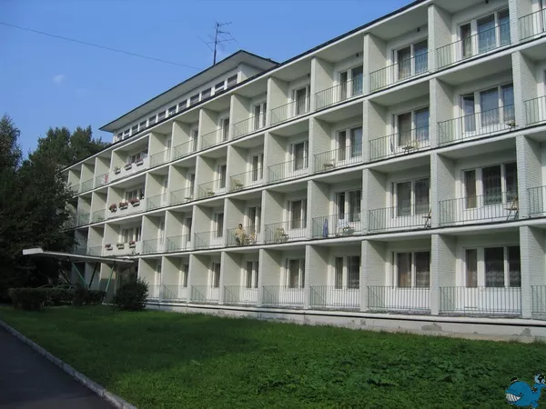 Новый Год Пансионат В Ленинградской Области