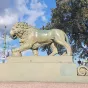 Три дня с Петербургом (лето)