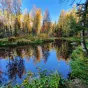 Линдуловская роща