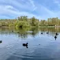 Экскурсия в Парк Победы